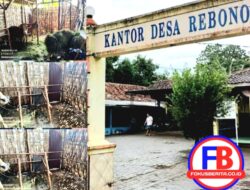 12 Ekor Sapi Program Ketahanan Pangan Desa Rebono Raib, Diduga Kuat Dijual Suami Kepala Desa