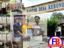 Ya Kades Ya Blantik, Lenyapnya 12 Ekor Sapi Desa Rebono, Wonorejo Berbuntut Panjang