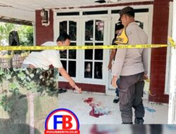 Tindakan Brutal, Pelaku Bunuh Bocah Tetangganya Dengan Gancu