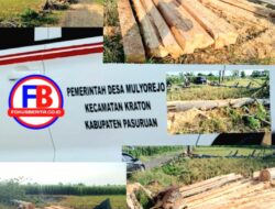 Pemotongan Pohon di Sepanjang Jalan Desa Mulyorejo, Diduga Tanpa Ijin dan Atas Perintah Kepala Desa